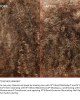 Olaplex - Tratament profesional in timpul colorarii No.1 Bond Multiplier 525ml